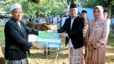 Serahkan Satu Ekor Sapi Kurban, Harisson Harap Idul Adha Jadi Momentum untuk Meneladani Nabi Ibrahim