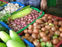 Harga Sayuran di Sanggau Naik, Dugaan Ini Penyebabnya