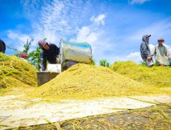 Era Baru Pangan & Energi: Stok Beras Melimpah, RI Resmi Stop Impor Solar Tahun Ini