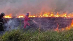 Update BNPB: Karhutla Riau Tembus 3.456 Hektare, Operasi Modifikasi Cuaca Terus Digencarkan