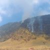 Kebakaran Savana Bromo Capai 80 Hektare, Tim Gabungan Tekan Perambatan Api