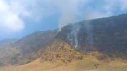 Kebakaran Bromo Capai 176 Hektare, Tim Gabungan Perkuat Water Bombing dan Tambah Armada Helikopter