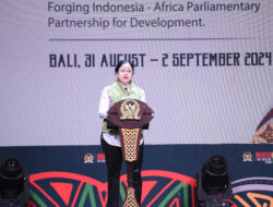 Puan Singgung Dukungan RI untuk Palestina di Forum Bareng Parlemen Afrika