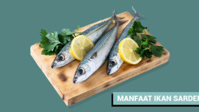 5 Manfaat Konsumsi Ikan Sarden, Diantaraya Baik untuk Kesehatan Otak