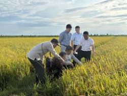 Kolaborasi RI-Tiongkok di Merauke: Langkah Strategis Menuju Swasembada Pangan Nasional