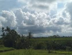 Prakiraan Cuaca Jawa Timur 1 Maret 2026: Hujan Ringan Mendominasi, Waspada Angin Kencang di Tulungagung dan Batu