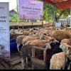 Program Qurban untuk Negeri Salurkan 2.239 Hewan Qurban kepada Hampir 20 Ribu Penerima Manfaat