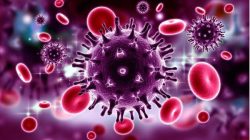 Ketuk Palu! DPRD dan Pemkab Situbondo Sahkan Perda Penanggulangan Pelacuran hingga HIV/AIDS