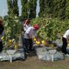Petro Agrifood Expo 2026 di Gresik Kampanyekan Pertanian Modern Demi Gaet Minat Generasi Muda