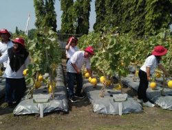 Petro Agrifood Expo 2026 di Gresik Kampanyekan Pertanian Modern Demi Gaet Minat Generasi Muda