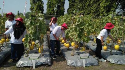 Petro Agrifood Expo 2026 di Gresik Kampanyekan Pertanian Modern Demi Gaet Minat Generasi Muda