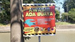 Buaya Muara Muncul di Kali Jagir, Warga Surabaya Diimbau Jauhi Aktivitas Sungai