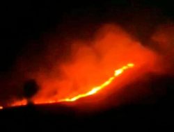 Karhutla Berlangsung di Bondowoso, BPBD Kabupaten Situbondo: Penyebab Kebakaran Daun Jati di Lantai Hutan RPH Mlandingan