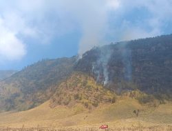 Kebakaran Savana Bromo Capai 80 Hektare, Tim Gabungan Tekan Perambatan Api